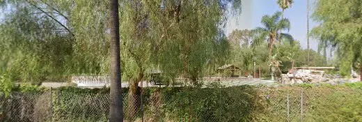 Dog trainer Mettrick Quarter Horses Riverside