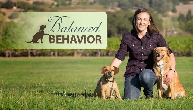 Dog trainer Balanced Behavior Inc. Santa Rosa