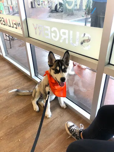 Pet vet Center Veterinary Clinic and Urgent Care San Diego