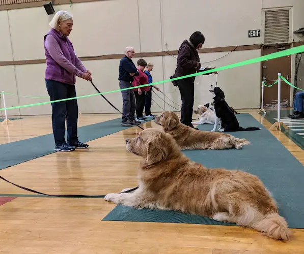 Dog trainer Salinas Valley Dog Training Club Salinas