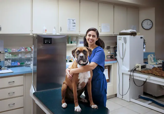 Pet vet Animal Hospital of Walnut West Covina