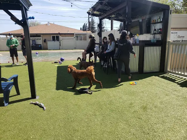 Dog day care center The Local Bark Park Sacramento