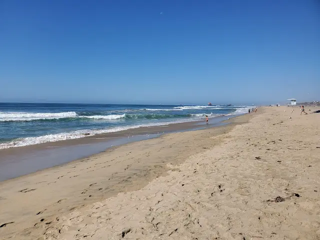 Dog breeder Huntington State Beach Huntington Beach