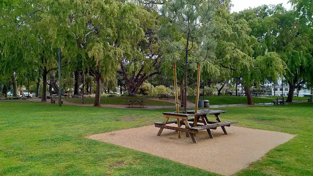 Dog Park Douglas Park Santa Monica