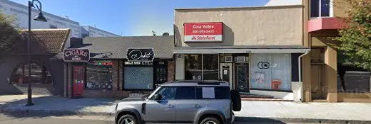 Dog Grooming Town and Country Dog Grooming San Mateo