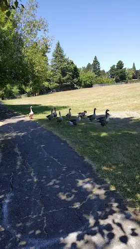 Dog Park Butternut Park Hillsboro