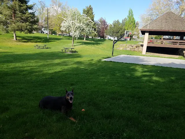 Dog Park Liberty Park Spokane
