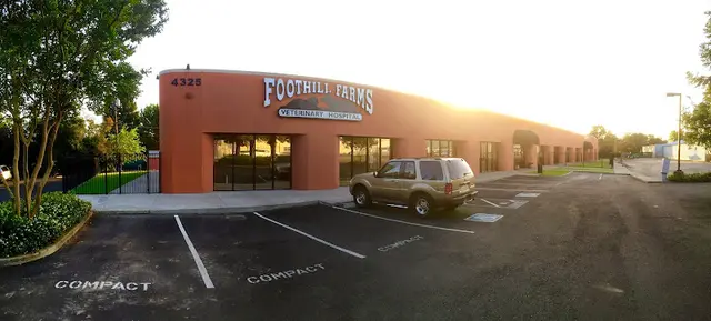 Rescue & Shelter Foothill Farms Veterinary Hospital Sacramento