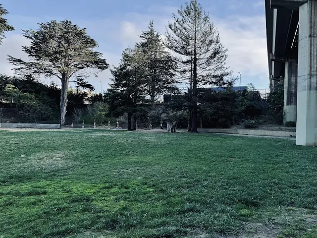 Dog Park Cayuga Park Daly City
