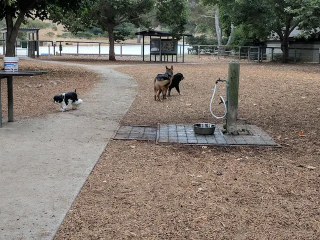 Dog Park El Chorro Dog Park Clovis