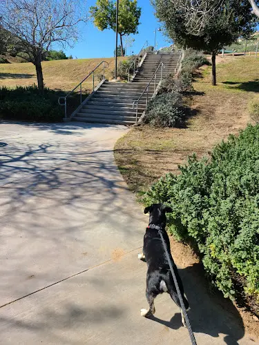 Dog Park Doty Trust Park Riverside