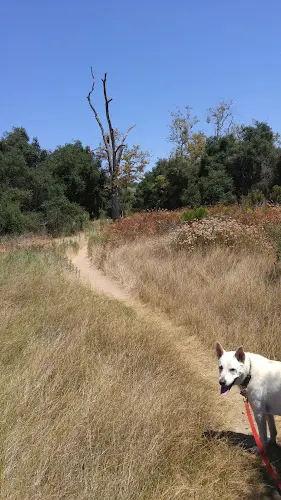 Dog Park San Clemente Canyon Trailhead Parking Lot San Diego