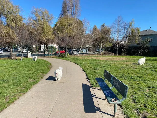 Dog Park Lower Bottoms Park Oakland