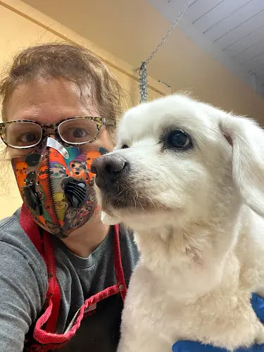 Dog Grooming Pride & Groom San Mateo