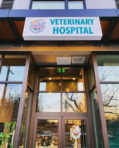 Pet vet Grateful Heart Veterinary Hospital Portland