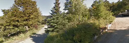 Rescue & Shelter Sit Stay and Play AK Anchorage