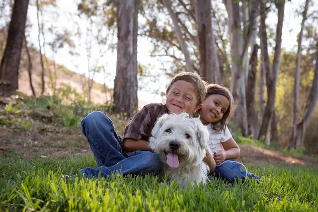 Dog day care center Rancho Viejo Animal Hospital Mission Viejo