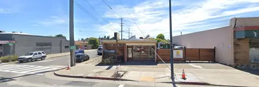 Pet vet Dr Foor Paws Pet Hospital Richmond