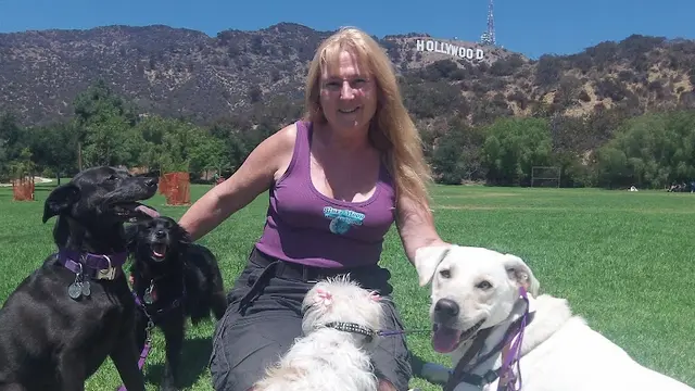 Dog trainer LA’s Dog Trainer Los Angeles
