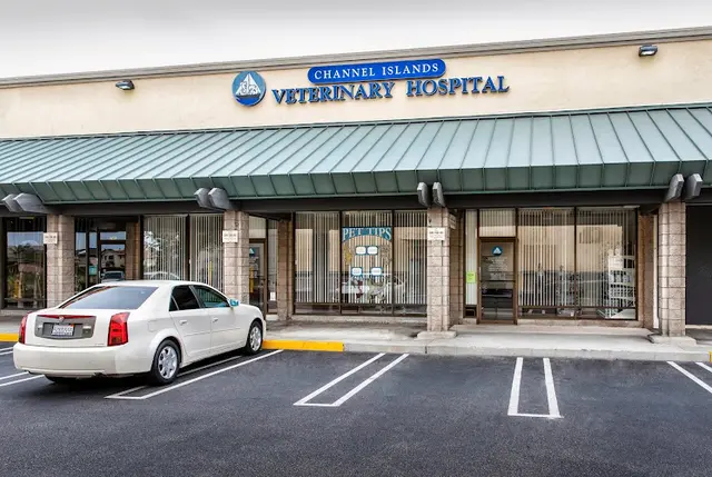 Pet vet Channel Islands Veterinary Hospital Ventura