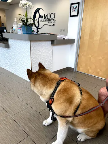 Pet vet Amici Pet Hospital of Little Italy San Diego