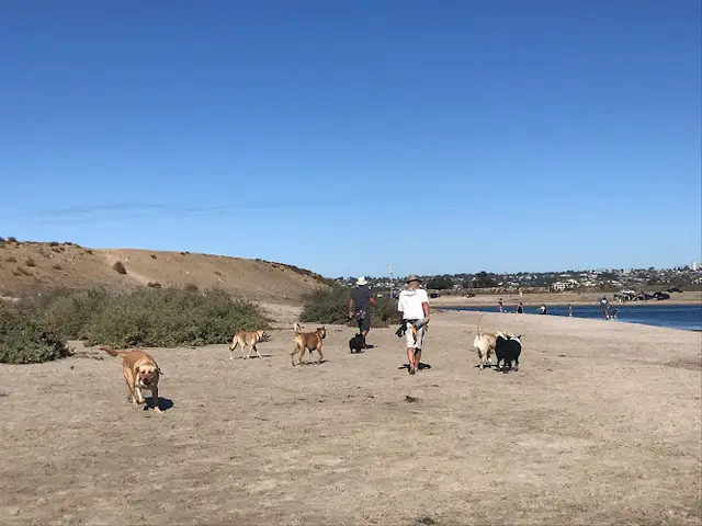 Dog Park Fiesta Island Park San Diego