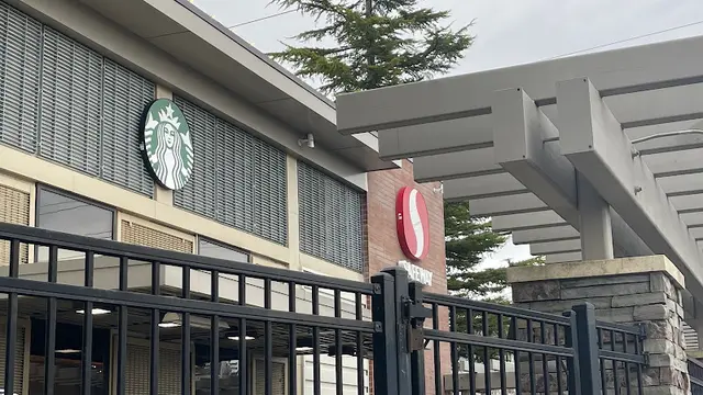 Dog trainer Safeway Bellingham