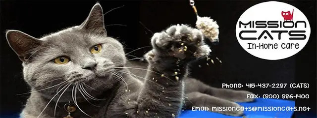 Pet boarding service Mission Cats: In-Home Care San Francisco