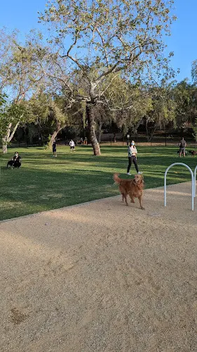 Dog Park Dali’s Dog Park Carson