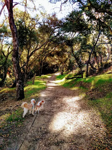 Dog Park Honda Valley Park Santa Barbara