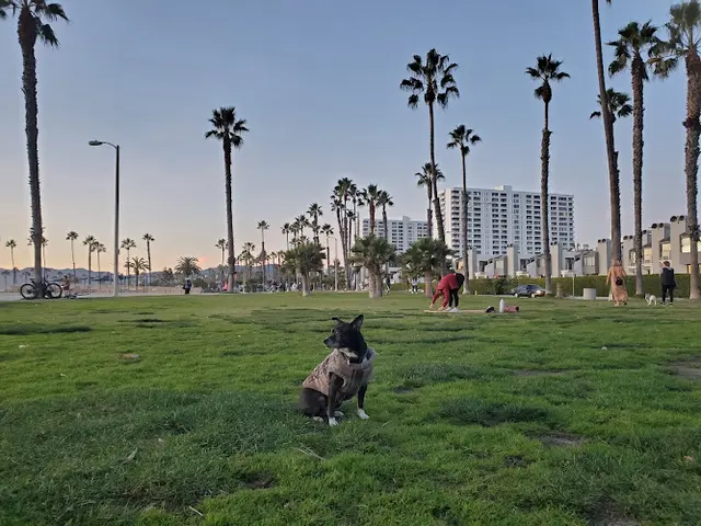 Dog Park South Beach Park Santa Monica