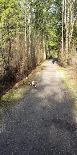 Dog Park Arroyo Park Bellingham