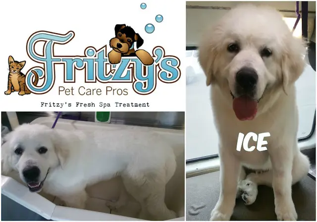 Pet boarding service Fritzy's Pet Care Pros Oceanside