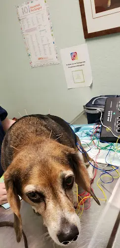 Pet boarding service VCA Cypress Animal Hospital Antioch