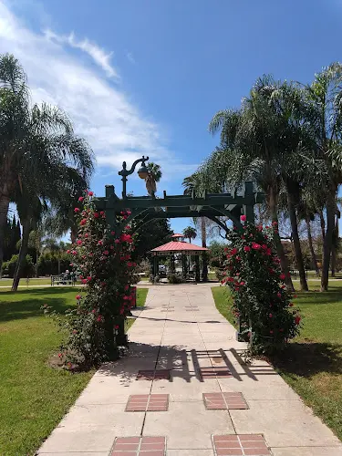 Dog Park Rose Park Long Beach