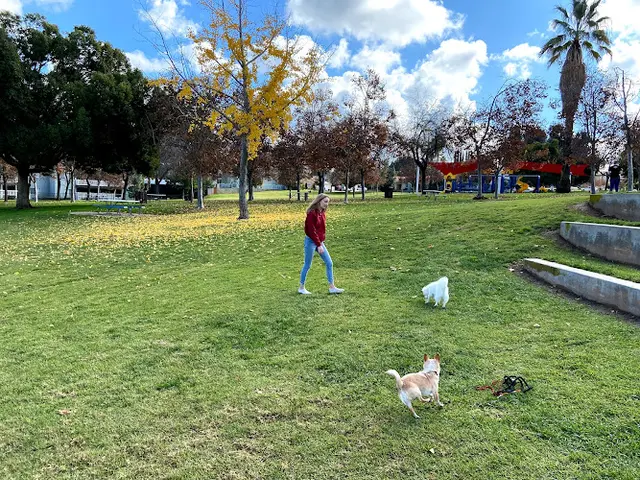 Dog Park Brookside Park San Bernardino