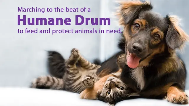 Rescue & Shelter Humane Drum Foundation Roseville