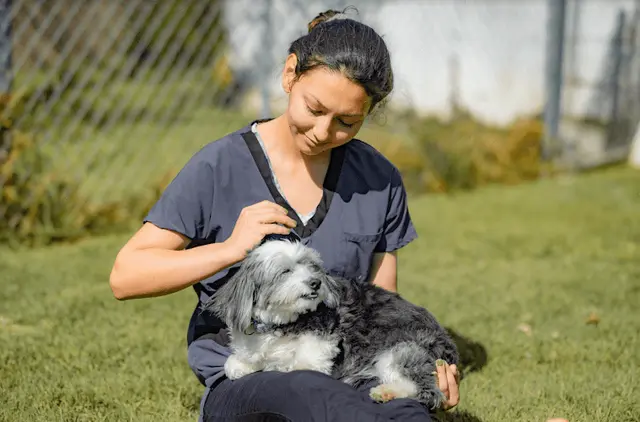 Pet boarding service Huntington Beach Veterinary Hospital Huntington Beach