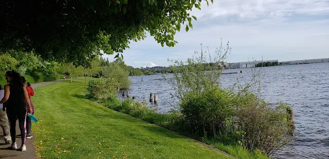 Dog Park Kennydale Beach Park Renton
