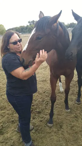 Pet boarding service LUCKY ACRES Yakima