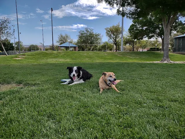 Dog Park Marie Kerr Park Lancaster
