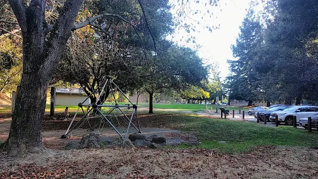 Dog Park Shepherd Canyon Park Oakland