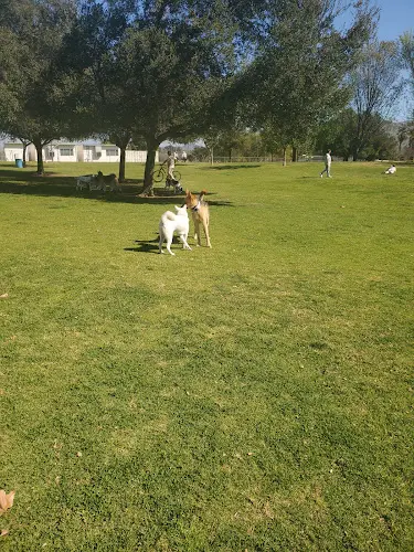 Dog Park Mission Oaks Dog Park Ventura