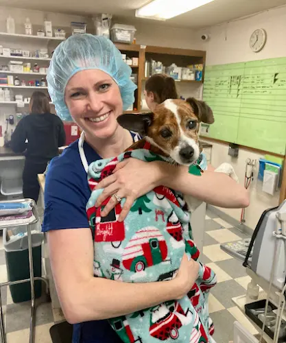 Pet vet Lakefield Veterinary Group Kent