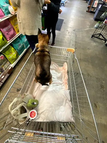 Rescue & Shelter Centinela Feed & Pet Supplies Los Angeles
