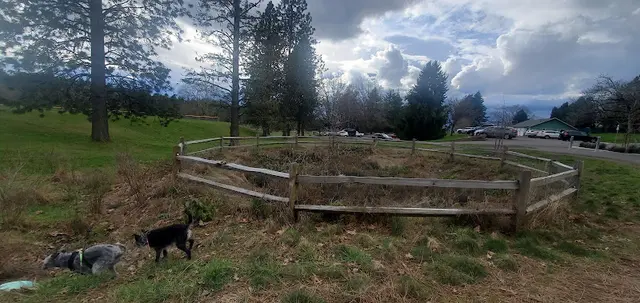Dog Park Gabriel Park Gresham