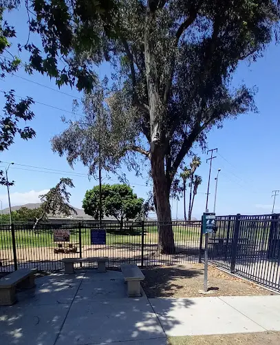 Dog trainer Carlson Dog Park Riverside