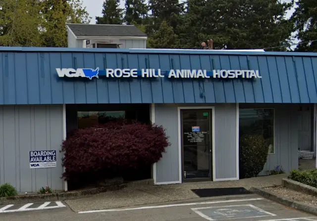 Pet vet VCA Rose Hill Animal Hospital Kirkland