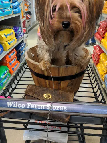 Dog Grooming Wilco Farm Store Vancouver