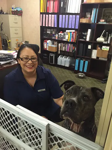 Pet vet VCA Bonita Animal Hospital Chula Vista